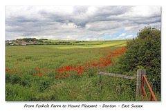 The view from Foxhole Farm to Mount Pleasant - Denton - Sussex - 15.6.2015