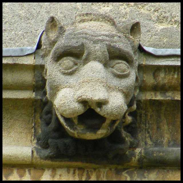 St John's College grotesque