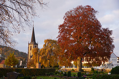 Herbstlicher Blick auf den Stadtfriedhof Beverungen