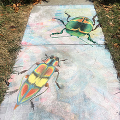 Pandemic chalk: Colorful bugs