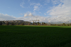 Meadows and Hills of Galilee