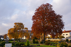 Herbstlicher Blick auf den Stadtfriedhof Beverungen II
