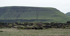John Day lava field (#0423)