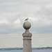 Lisbon, The Seagull