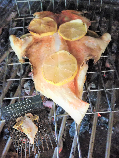 Grilled redfish (portuguese "cantaril")