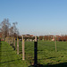 Belgium Grootebeek Cemetery (#0313)