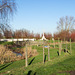 Belgium Grootebeek Cemetery (#0315)