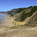 Windswept – San Gregorio Beach State Park, San Mateo County, California