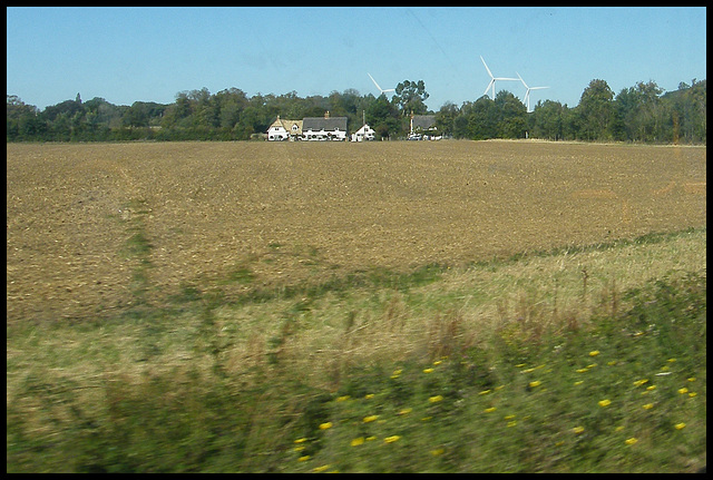 field near Southoe