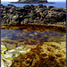 Godrevy and rock pool.