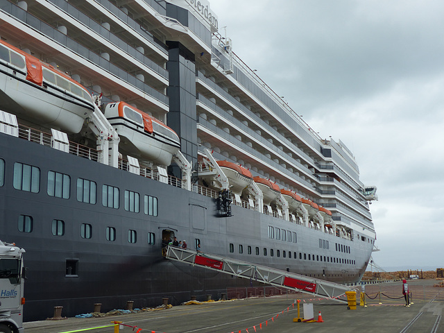 Oosterdam at Napier (1) - 26 February 2015