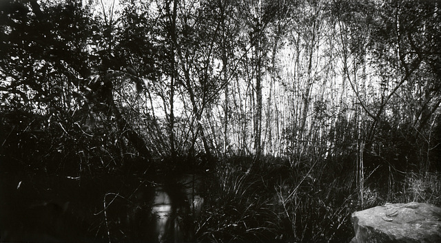 Willow Creek Pinhole