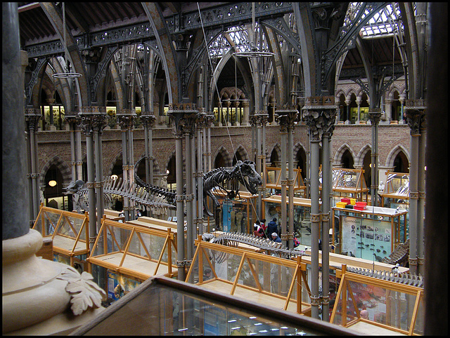 inside the natural history museum