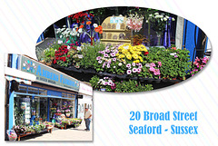 20 Broad Street - Seaford - Sussex - 18.6.2015