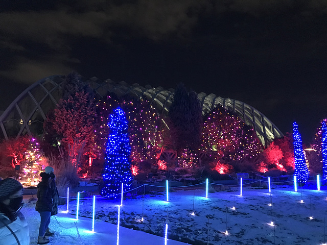 Denver Botanical Gardens Christmas lights 2020