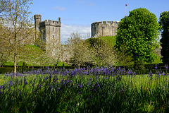 Camassia and the Castle