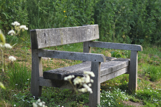 Bench for lovers to sit and enjoy....