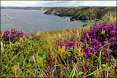 North Cliffs from Reskajeage Downs, Cornwall