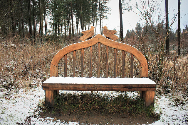 winter  bench