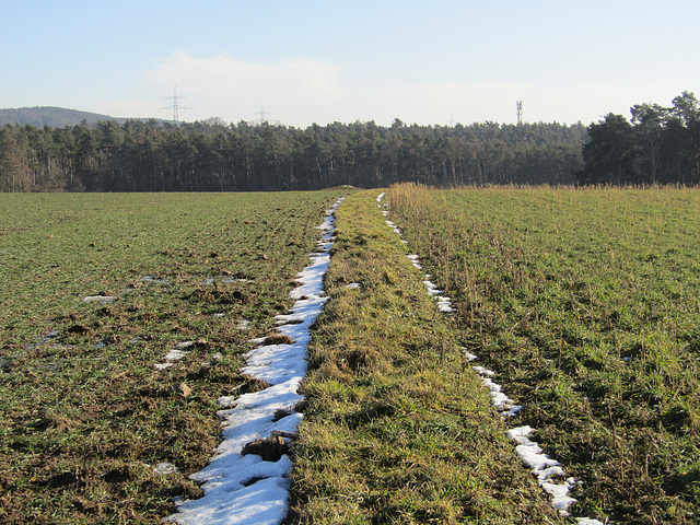 Feldweg-Wald-und Acker