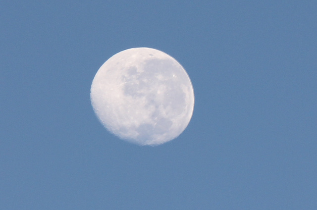 Moon today