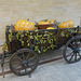 Cricova Winery- Cart with Large Pumpkins