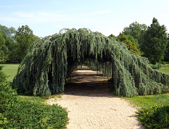 Arch at Planting Fields, May 2012