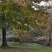 Binney Park, Greenwich, Connecticut on a rainy day