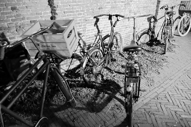 Bicycles at night