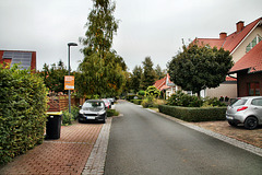 Birkenweg (Bönen-Lenningsen) / 9.10.2023