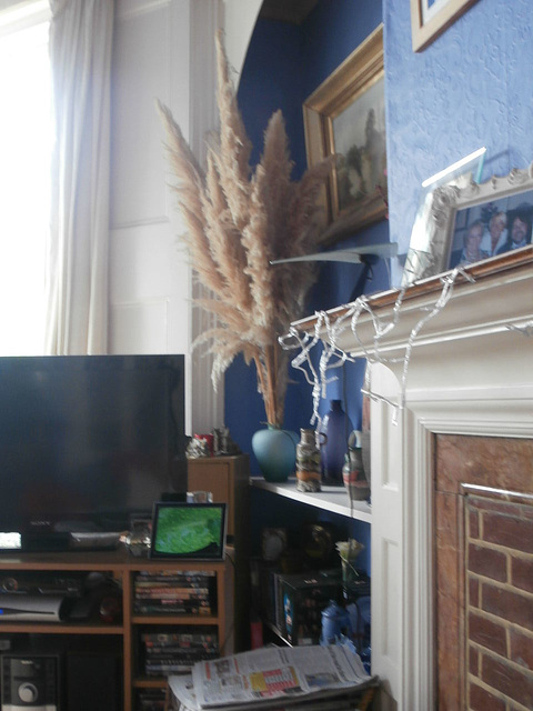 The area  behind the tv without the weeping ivy