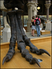 Tyrannosaurus bigfoot