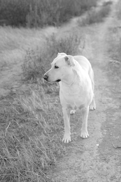 Peiki, Soft light, BW