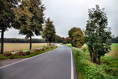 Kamener Straße (Bönen) / 9.10.2023