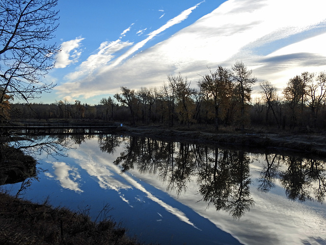 Today's clouds at Inglewood Bird Sanctuary