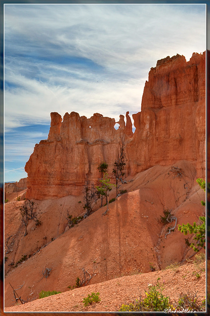 A rocky dog watching the sky, Bryce canyon