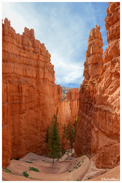 Narrow and wonderful, Bryce canyon