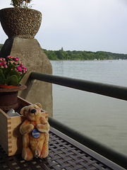 at the ammersee