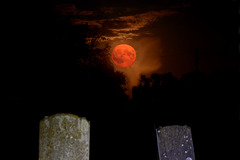 Super Blue Moon rises over gravestones.
