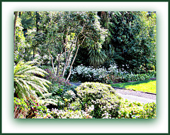 Pukeiti Gardens