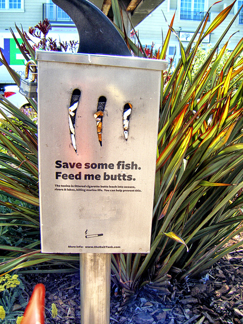 Save Some Fish