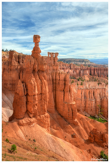 Orange pillars, bryce canyon