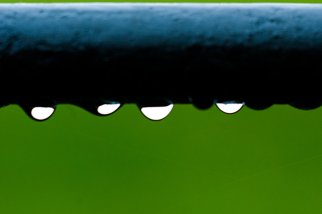Raindrops Hanging Underneath an Iron Fence