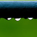 Raindrops Hanging Underneath an Iron Fence