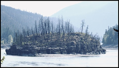 Russian Island in the Fraser River.
