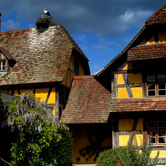 toitures d'Alsace