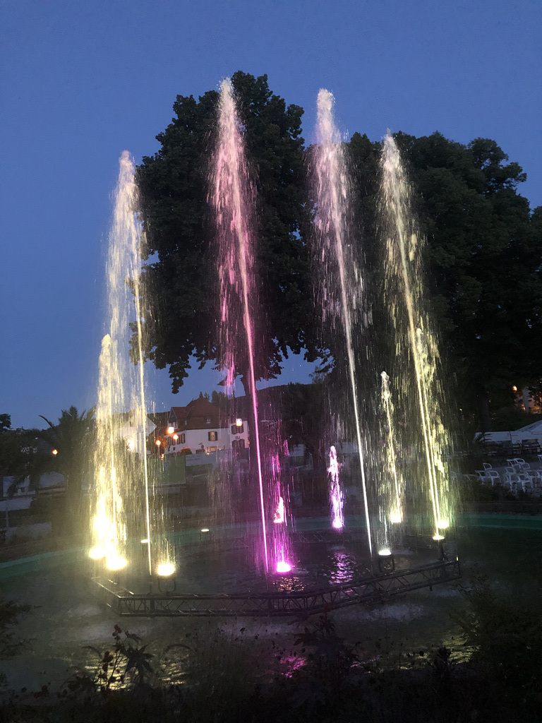 Abends im Kurpark