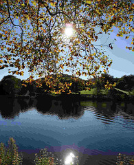 ...Zauber der Herbstsonne - Magic of the autumn sun...