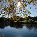 ...Zauber der Herbstsonne - Magic of the autumn sun...