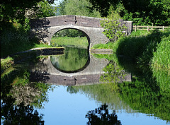 Bridge 51 on Maesbury Canal